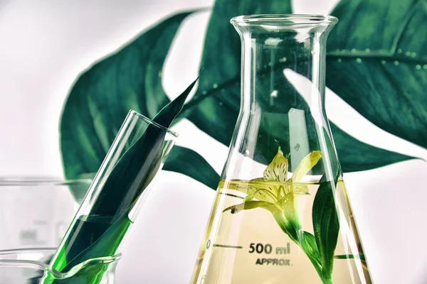 Doğal organik çıkarma ve yeşil bitki yaprakları, çiçek aroması özü çözüm laboratuvar.