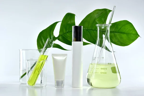 Kosmetische Flaschenbehälter mit grünen Kräuterblättern und wissenschaftlichen Gläsern, Blanko-Etikettenverpackung für Branding-Mock-Up, Forschung und Entwicklung eines natürlichen Bio-Kosmetikprodukts. — Stockfoto