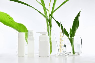 Yeşil bitkisel yapraklı kozmetik şişe kapları ve bilimsel cam eşyalar, markalaştırma, araştırma ve doğal organik güzellik ürünleri konseptini geliştirmek için boş etiket paketi..
