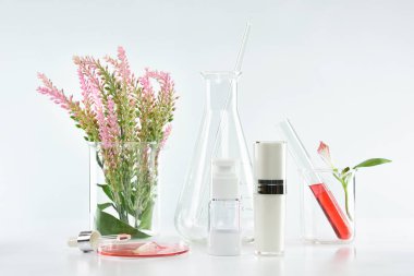 Kozmetik şişe kapları pembe bitki yaprakları ve bilimsel Züccaciye Mağazaları, boş etiket ile marka mock-up, araştırma için paket ve doğal organik güzellik Cilt Bakımı ürün konsept geliştirmek.