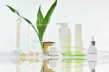 Yeşil bitkisel yapraklı kozmetik şişe kapları ve bilimsel cam eşyalar, markalaştırma, araştırma ve doğal organik güzellik ürünleri konseptini geliştirmek için boş etiket paketi..