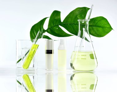 Yeşil bitkisel yapraklı kozmetik şişe kapları ve bilimsel cam eşyalar, markalaştırma, araştırma ve doğal organik güzellik ürünleri konseptini geliştirmek için boş etiket paketi..