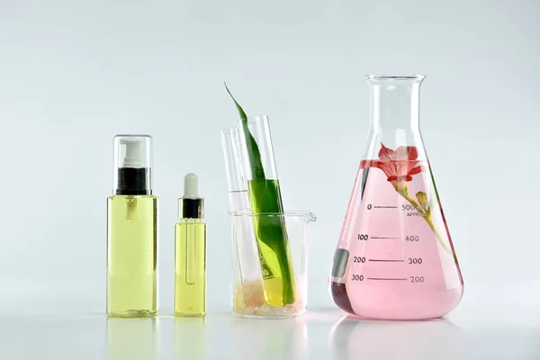 Natürliche Hautpflege-Kosmetikprodukte, natürliche Extraktion aus biologischer Botanik und wissenschaftliche Gläser, Blanko-Etikett-Kosmetikbehälter für Branding-Mock-Up. — Stockfoto