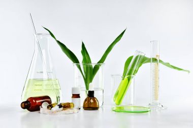 Yeşil bitkisel yapraklı kozmetik şişe kapları ve bilimsel cam eşyalar, markalaştırma, araştırma ve doğal organik güzellik ürünleri konseptini geliştirmek için boş etiket paketi..