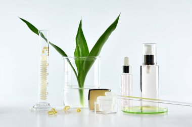 Losyon krem ve kozmetik şişe kapları ile yeşil bitki yaprakları ve bilimsel Züccaciye Mağazaları, boş etiket mock-up, araştırma marka için paket ve doğal organik güzellik Cilt Bakımı ürün konsept geliştirmek.