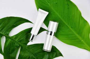 Yeşil bitkisel yapraklı kozmetik şişe kapları, markalaşma için boş etiket, doğal güzellik ürünü konsepti.