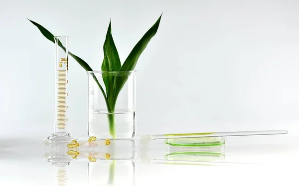 Botanica biologica naturale e vetreria scientifica, Medicina alternativa alle erbe, Prodotti di bellezza per la cura della pelle naturale, Concetto di ricerca e sviluppo . — Foto Stock