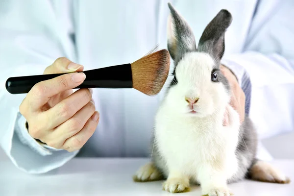 Καλλυντικά δοκιμή ζώο κουνέλι, επιστήμονας ή φαρμακοποιό έρευνα χημικά συστατικά δοκιμών σε ζώα στο εργαστήριο, Cruelty free και σταματήστε την κακοποίηση των ζώων έννοια. — Φωτογραφία Αρχείου