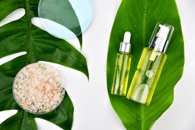 Yeşil bitkisel yapraklı kozmetik şişe kapları, markalaşma için boş etiket, doğal güzellik ürünü konsepti.