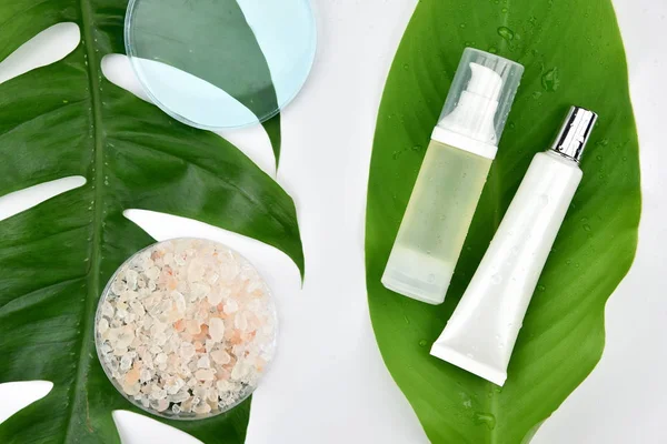 Yeşil bitkisel yapraklı kozmetik şişe kapları, markalaşma için boş etiket, doğal güzellik ürünü konsepti.