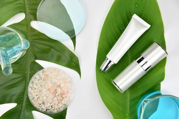 Yeşil bitkisel yapraklı kozmetik şişe kapları, markalaşma için boş etiket, doğal güzellik ürünü konsepti.