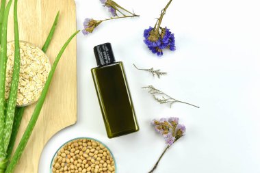 Aloe vera bitki, Doğal Cilt Bakımı Güzellik ürünü. Kozmetik şişe kapları ile yeşil bitki yaprakları, mock-up marka için boş etiket.