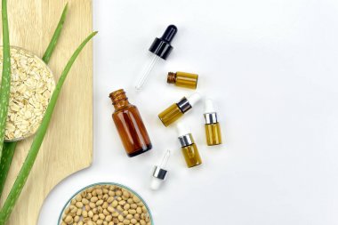 Aloe vera bitki, Doğal Cilt Bakımı Güzellik ürünü. Kozmetik şişe kapları ile yeşil bitki yaprakları, mock-up marka için boş etiket.