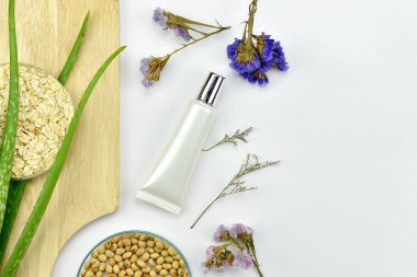 Aloe vera bitki, Doğal Cilt Bakımı Güzellik ürünü. Kozmetik şişe kapları ile yeşil bitki yaprakları, mock-up marka için boş etiket.