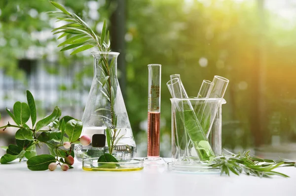 Ricerca sulle droghe naturali, Estrazione naturale biologica e scientifica in vetreria, Medicina alternativa alle erbe verdi, Prodotti naturali di bellezza per la cura della pelle, Concetto di laboratorio e sviluppo. — Foto Stock