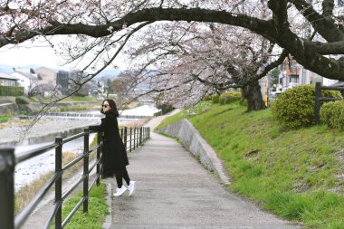 Sakura kiraz çiçekleri çiçek açan Asyalı kadın gezgin doğa parkındaki pembe çiçek ağacı tünelinin altında Japonlar bahar mevsiminde geleneksel çiçek izlemenin keyfini çıkarırlar..