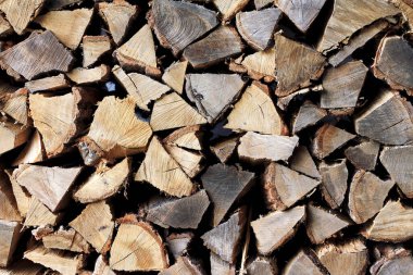 Yakacak odun yığını, duvar kâğıdı için kurumuş odun dokusu, dizayn şablonu için doğal ahşap arka plan.