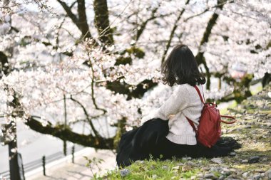 Sakura kiraz çiçekleri çiçek açan Asyalı kadın gezgin doğa parkındaki pembe çiçek ağacı tünelinin altında Japonlar bahar mevsiminde geleneksel çiçek izlemenin keyfini çıkarırlar..