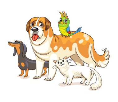 Köpek, bir kedi ve bir papağan birlikte ayakta