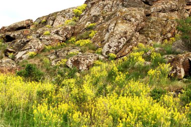 Dağlardaki güzel bahar manzarası