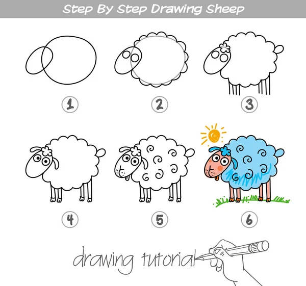 Passo a passo desenho Ovelhas —  Vetores de Stock