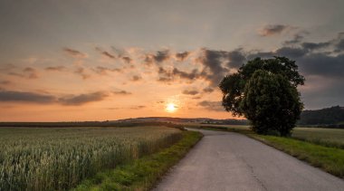 Mısır alanının üstündeki günbatımı