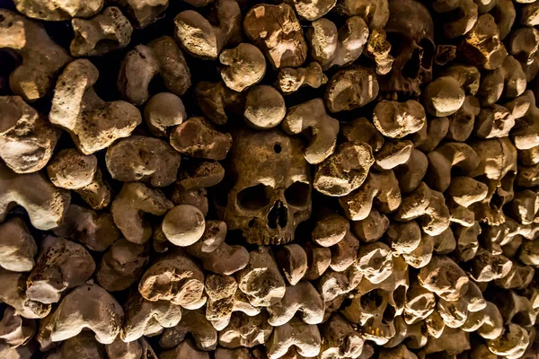 Skulls and bones from charnel house — Stock Photo, Image