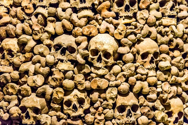 Skulls and bones from charnel house