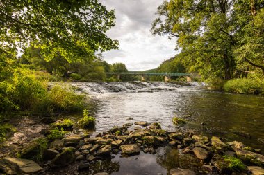 Su, bulutlar, orman, ağaçların yansıması ile manzara