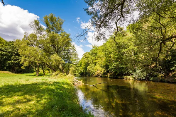 Su, bulutlar, orman, ağaçların yansıması ile manzara