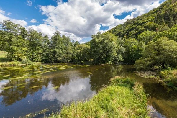 Su, bulutlar, orman, ağaçların yansıması ile manzara