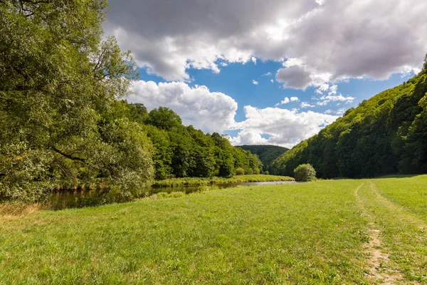 Orman ağaçları, ahşap, bitkiler ve yaz bulutlar ile yolda.