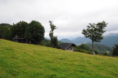 Yeşil orman, mavi bulutlar ve çayır, dağlar Tatra yatay