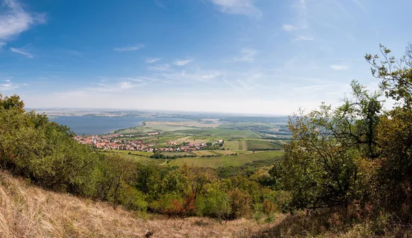 Szőlőskert közeli kis faluban, a kék ég, a mezőgazdaság és a bor — Stock Fotó