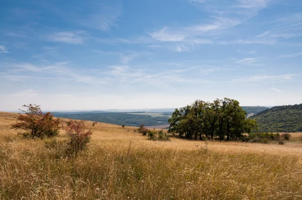 Mera düz çim ve göl içinde belgili tanımlık geçmiş