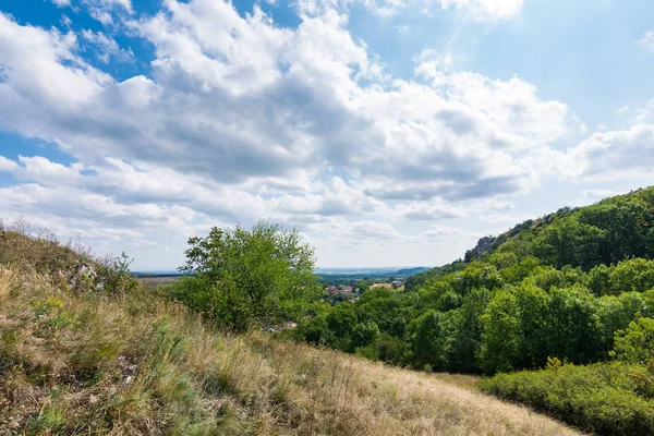 Kaya ve ağaç altında mavi gökyüzü - manzara küçük dağ çayır