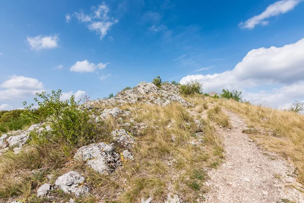 Kaya ve ağaç altında mavi gökyüzü - manzara küçük dağ çayır