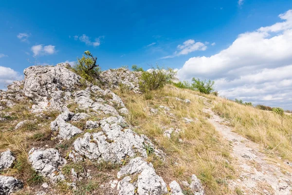 Kaya ve ağaç altında mavi gökyüzü - manzara küçük dağ çayır
