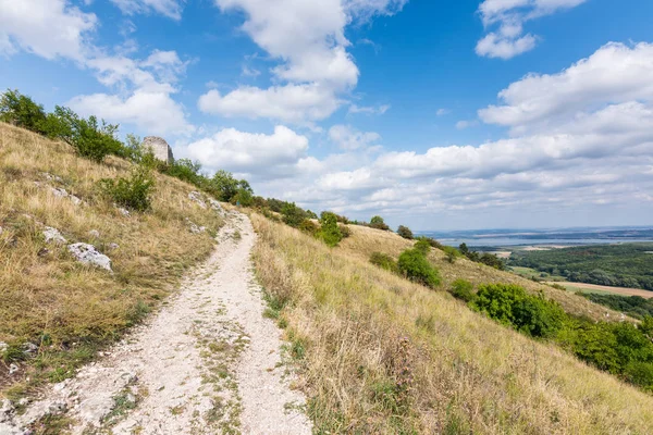 Kaya ve ağaç altında mavi gökyüzü - manzara küçük dağ çayır