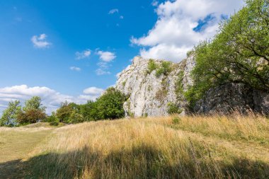 Orman, milli park, yeşil ağaçlar, mavi gökyüzü bulutlu beyaz rock