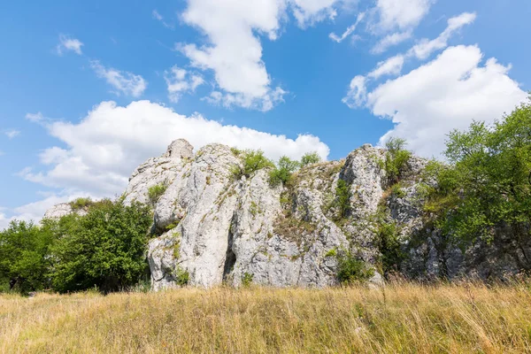 Roca blanca en el bosque, parque nacional, árboles verdes, cielo azul con nubes — Foto de Stock