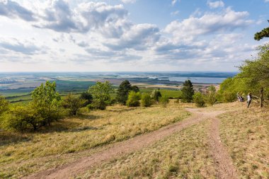 Yol alanları ve çayır, agricultue, ağaçlar ve çalılar yakın. Yazın hava ve mavi gökyüzü