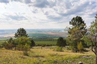 Yol alanları ve çayır, agricultue, ağaçlar ve çalılar yakın. Yazın hava ve mavi gökyüzü