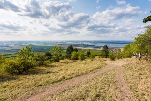 Yol alanları ve çayır, agricultue, ağaçlar ve çalılar yakın. Yazın hava ve mavi gökyüzü