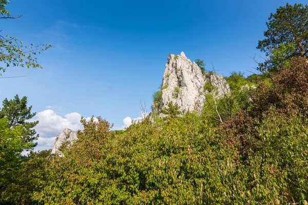 Roca blanca en la República Checa Palava. Roca colocada en árboles y bosques — Foto de Stock