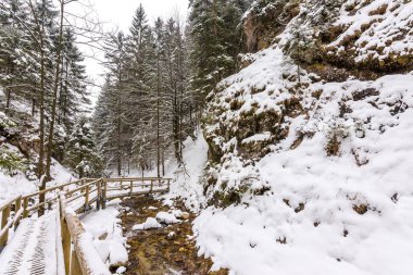 Slovakya Milli Parkı Mala Fatra, Janosikove diery, orman, kar ve kış yolunda.