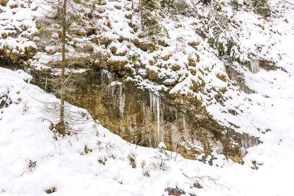 슬로바키아 국립 공원 Mala Fatra, Janosikove diery, 숲, 눈과 겨울에 경로. — 스톡 사진