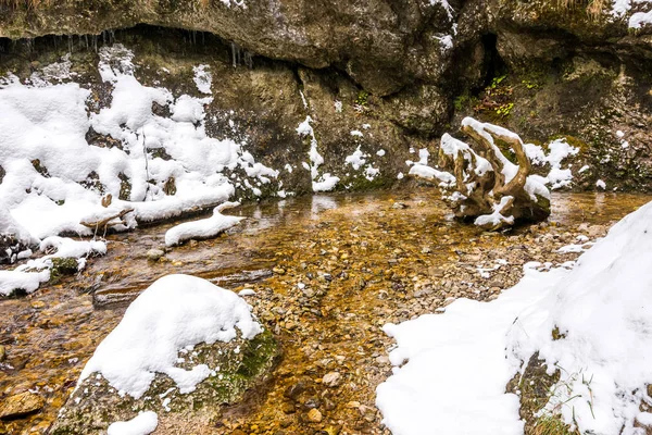 슬로바키아 국립 공원 Mala Fatra, Janosikove diery, 숲, 눈과 겨울에 경로. — 스톡 사진