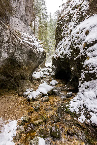 Eslovaquia parque nacional Mala Fatra, Janosikove diery, camino en el bosque, nieve e invierno . — Foto de Stock