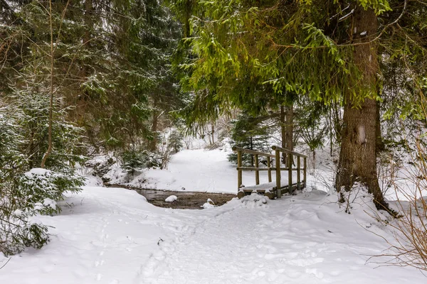 Eslovaquia parque nacional Mala Fatra, Janosikove diery, camino en el bosque, nieve e invierno . — Foto de Stock
